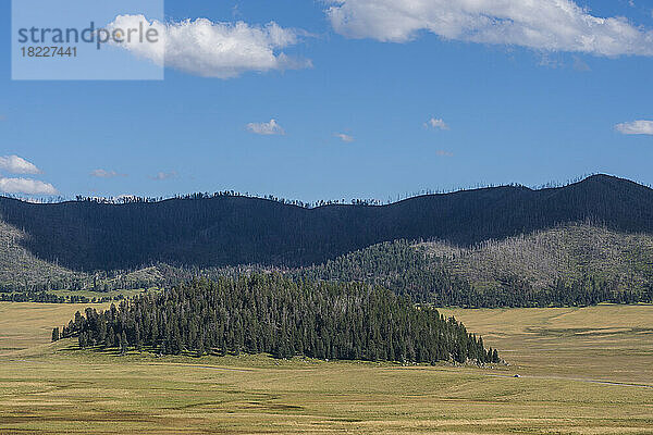 USA  New Mexico  Valles Caldera Natural Preserve  malerische Landschaft im Valles Caldera National Preserve