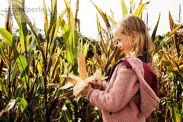 Mädchen hält im Herbst einen Maiskolben in einem Maisfeld