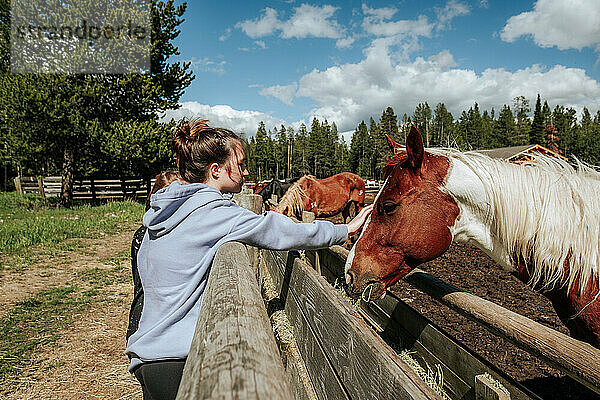 Teenager-Mädchen streichelt an einem sonnigen Tag ein Pferd