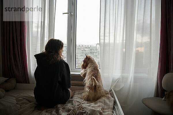 Ein Mädchen und ein Hund auf einem großen Bett im Zimmer schauen aus dem Fenster