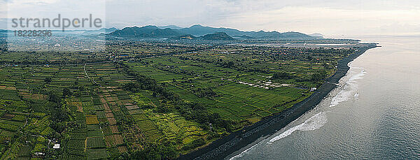 Luftaufnahme von Reisfeldern  Bali  Indonesien