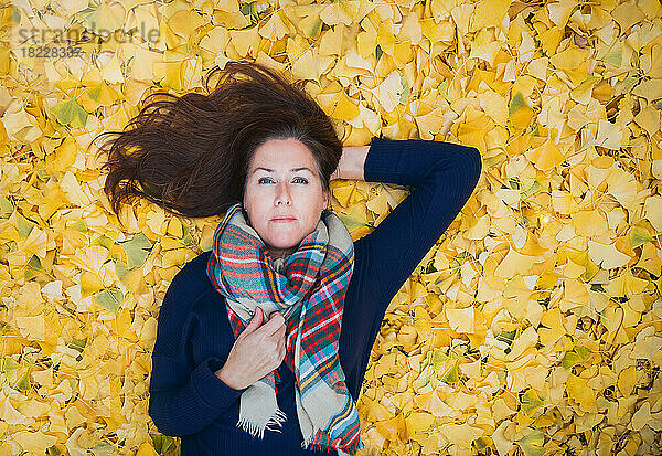 Porträt einer Frau  die an einem Herbsttag auf einem Teppich aus gelben Blättern liegt.