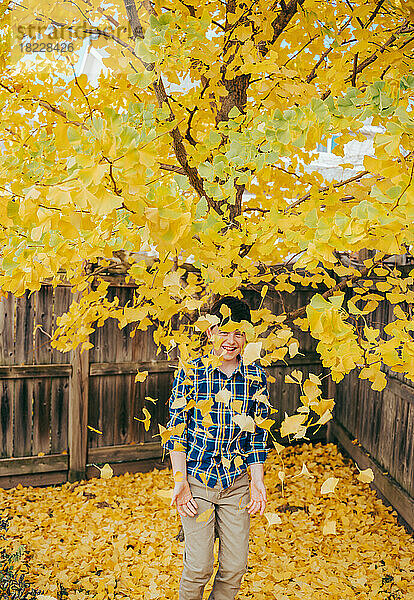 Fröhlicher Junge wirft am Herbsttag gelbe Gingko-Blätter in die Luft.