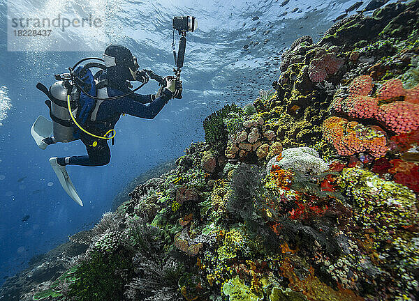 Taucher erkundet die Korallenriffe bei Komodo/Indonesien