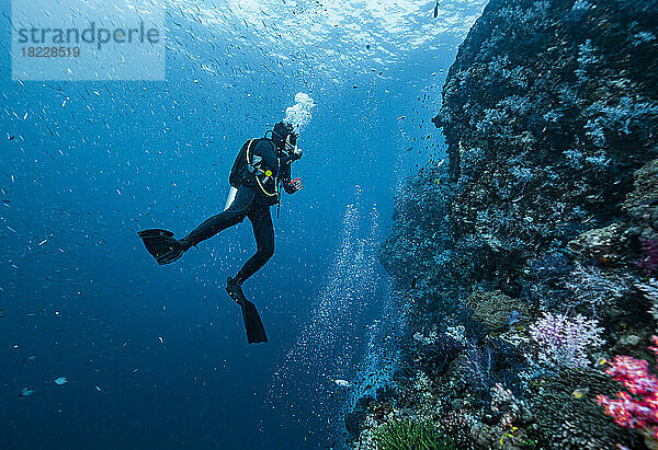 Taucher erkundet ein Korallenriff in der Südandamanensee / Thailand