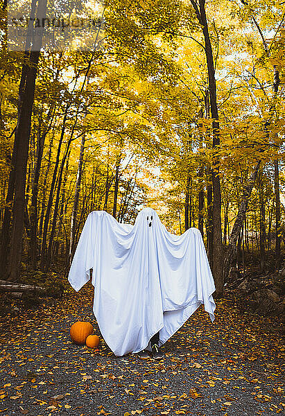 Person in Geisterkostüm gekleidet in einem Waldgebiet für Halloween.