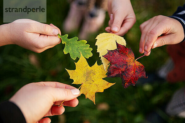 Kinder spielen im Herbst mit Ahornblättern