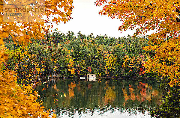 Blick auf ein Bootshaus an einem ruhigen See durch die Bäume an einem Herbsttag.