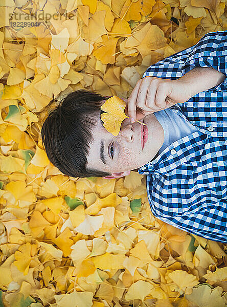 Porträt eines Jungen  der an einem Herbsttag auf einem Teppich aus gelben Blättern liegt.