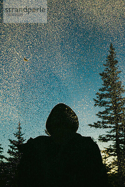 Silhouette eines Teenagers mit Schneeflocken im goldenen Licht im Wald