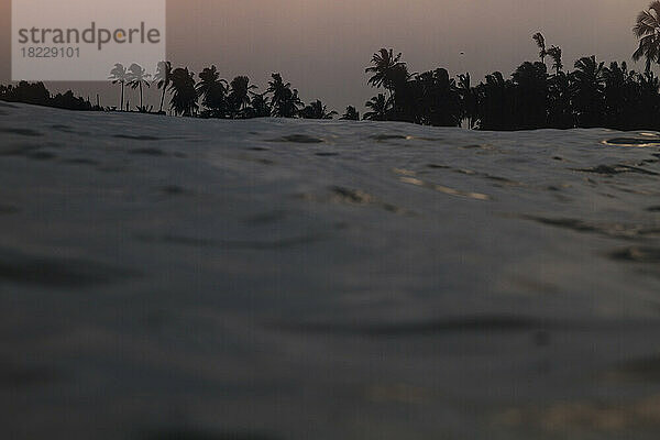 Meer und Palmen bei Sonnenuntergang