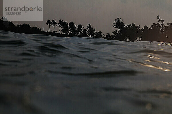 Meer und Palmen bei Sonnenuntergang