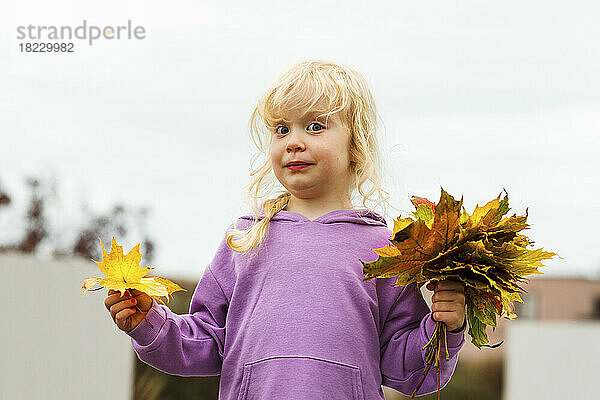 Nettes blondes Mädchen  das Herbstblätter hält