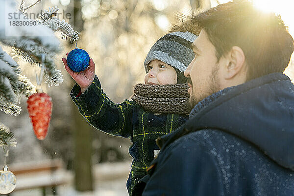 Vater trägt Sohn und hält Weihnachtskugel auf Ast eines schneebedeckten Baumes