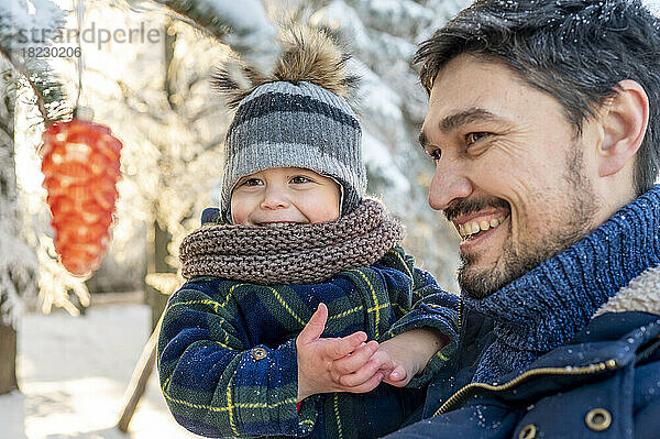 Glücklicher Mann mit Sohn blickt auf einen Tannenzapfen  der am Zweig des Weihnachtsbaums hängt