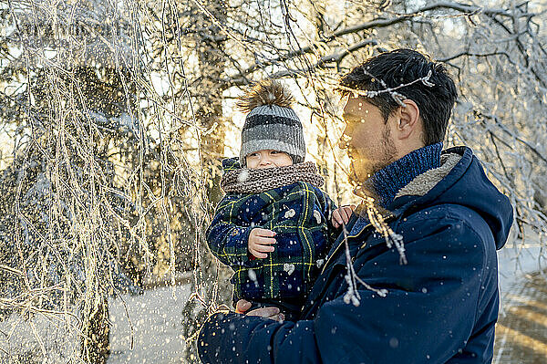 Vater und Sohn genießen den Schnee in der Nähe eines Baumes im Winterpark