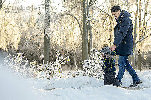 Vater hält Sohn an der Hand und geht im Winterpark spazieren