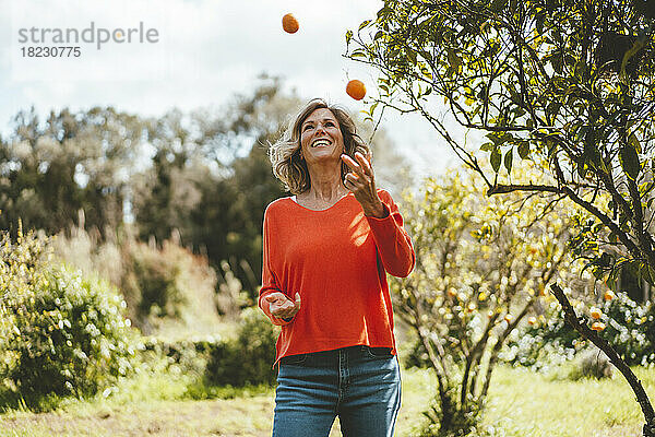 Glückliche reife Frau jongliert mit Orangen  die neben einem Baum im Garten stehen