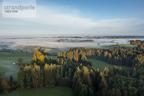 Deutschland  Bayern  Bad Tölz  Luftaufnahme des Herbstwaldes im nebligen Morgengrauen