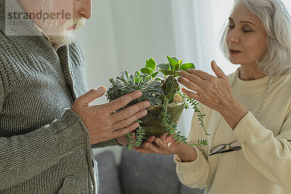 Älteres Paar kümmert sich um Zimmerpflanzen