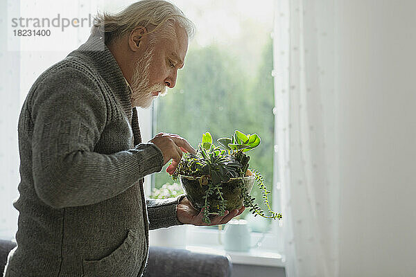 Reifer Mann kümmert sich um Zimmerpflanzen
