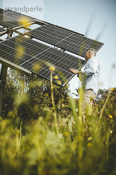 Reifer Mann untersucht Sonnenkollektoren im Garten