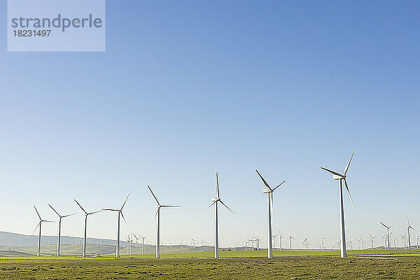 Windkraftanlagen auf einem Feld unter klarem Himmel