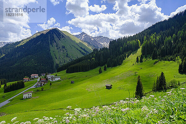 Österreich  Tirol  Berwang  Blick auf das grüne Bergtal im Sommer