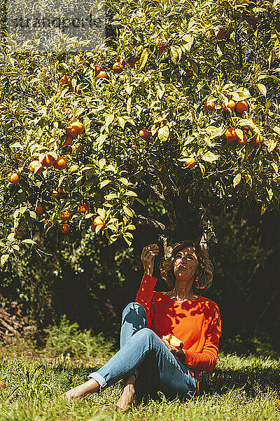 Frau isst Bio-Orangenfrüchte und sitzt unter einem Baum