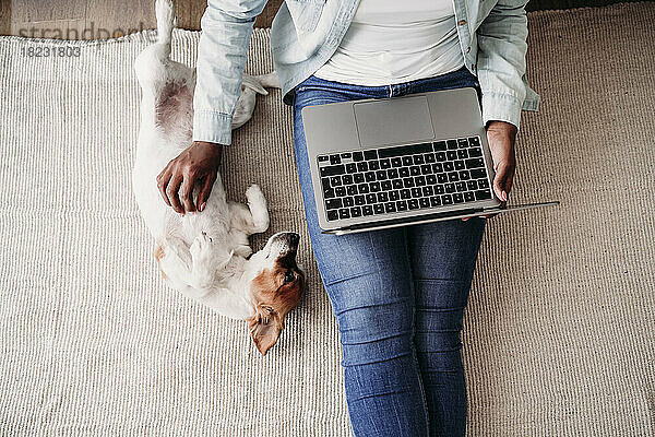 Geschäftsfrau mit Laptop sitzt zu Hause neben Hund auf Teppich