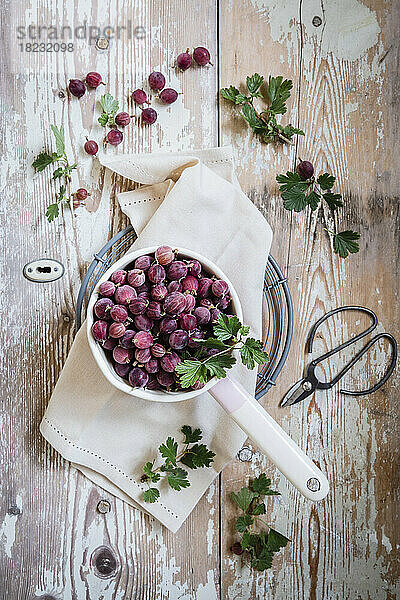Studio shot of pan of fresh gooseberries