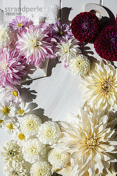 Studioaufnahme von Köpfen verschiedener blühender Blumen