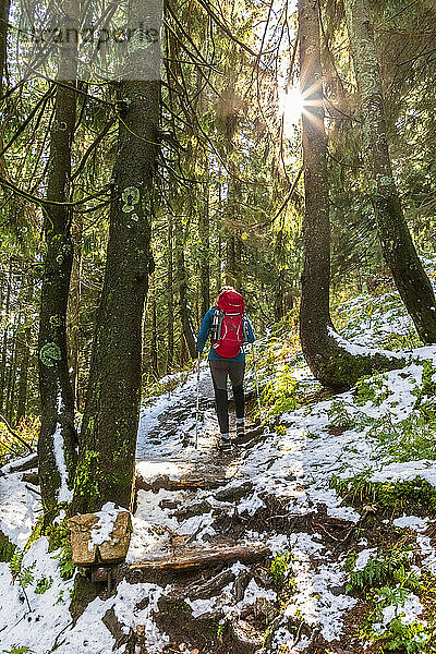 Deutschland  Bayern  Wanderin folgt Waldweg auf dem Weg zum Karkopf