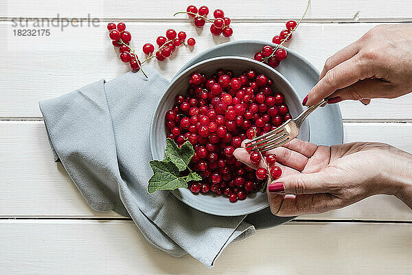 Hands of woman preparing red currants