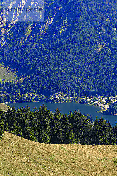 Deutschland  Bayern  Spitzingsee vom Stumpfling aus gesehen im Sommer