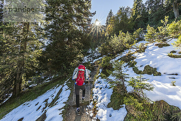 Germany  Bavaria  Female hiker following trail in Bavarian Prealps