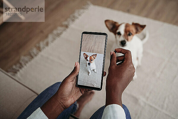 Frau fotografiert Hund zu Hause per Smartphone