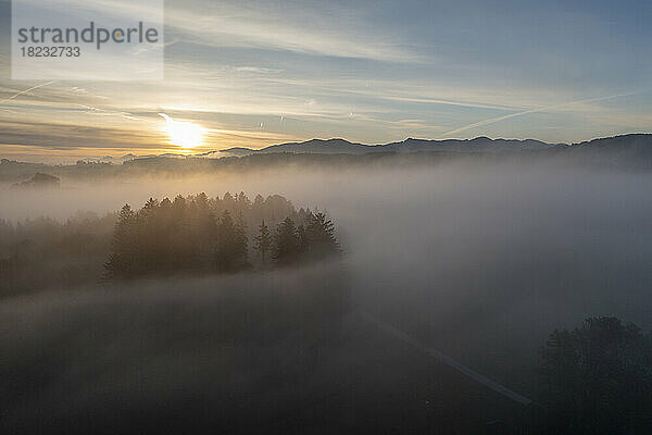 Deutschland  Bayern  Bad Tölz  Luftaufnahme eines Waldes  der bei Sonnenaufgang in dichten Nebel gehüllt ist