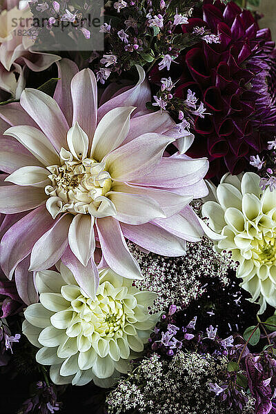Strauß aus drei Dahliensorten  gemischt mit anderen Blumen