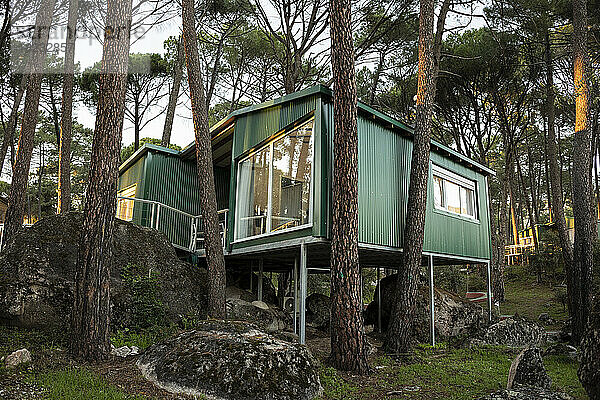 Grünes Wohnhaus im abgelegenen Wald