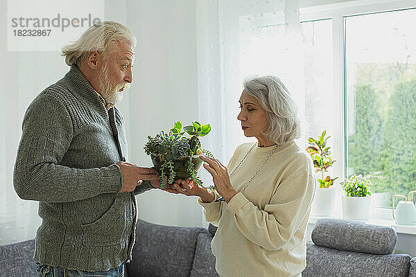 Älteres Paar kümmert sich um Zimmerpflanzen