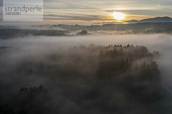 Deutschland  Bayern  Bad Tölz  Luftaufnahme eines Waldes  der bei Sonnenaufgang in dichten Nebel gehüllt ist