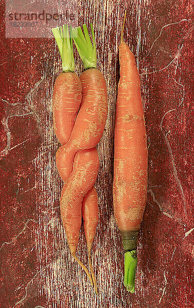 Ein Paar ineinander verschlungener Karotten und eine einzelne