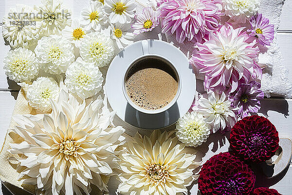 Tasse Kaffee  umgeben von Köpfen verschiedener blühender Blumen