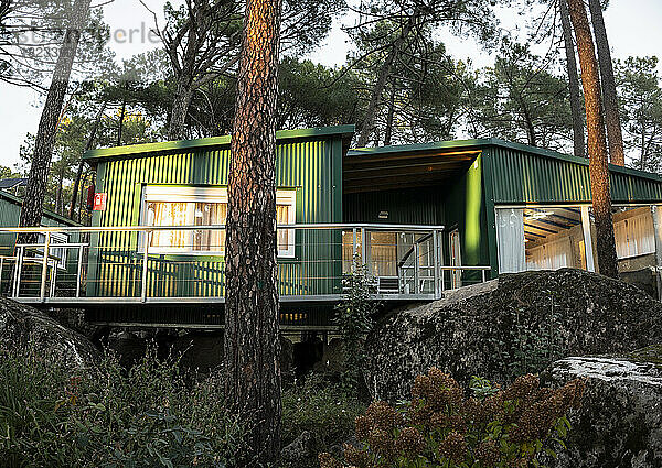 Grünes Wohnhaus im abgelegenen Wald