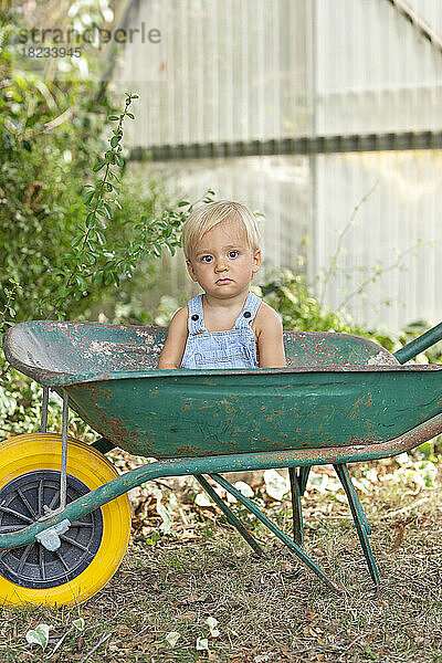 Cute boy in wheelbarrow at garden