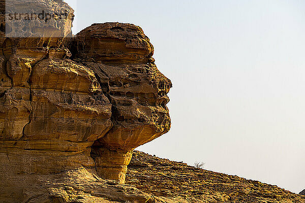 Saudi-Arabien  Provinz Medina  Al Ula  Sandsteinfelsenformation  die einem menschlichen Kopf ähnelt