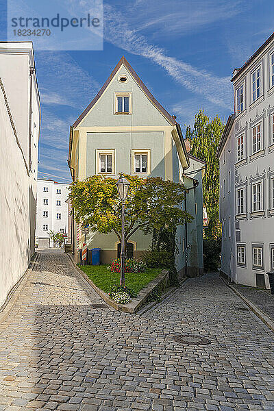 Deutschland  Bayern  Passau  Einzelner Baum mitten in der Klosterwinkelgasse