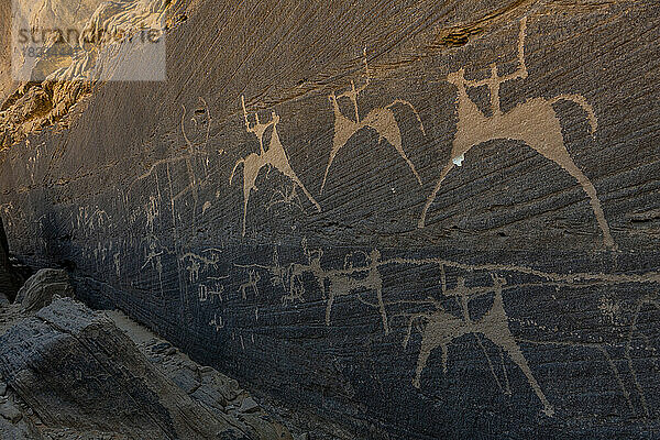Saudi-Arabien  Provinz Najran  Najran  prähistorische Petroglyphen und Inschriften von Bir Hima