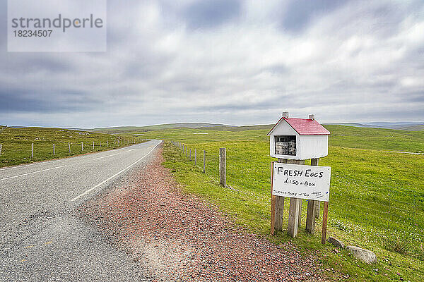 Großbritannien  Schottland  Frische Hühnereier zum Verkauf an einer abgelegenen Straße auf den Shetlandinseln